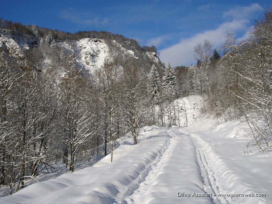 20 Eccoci alla deviazione per il bosco.JPG